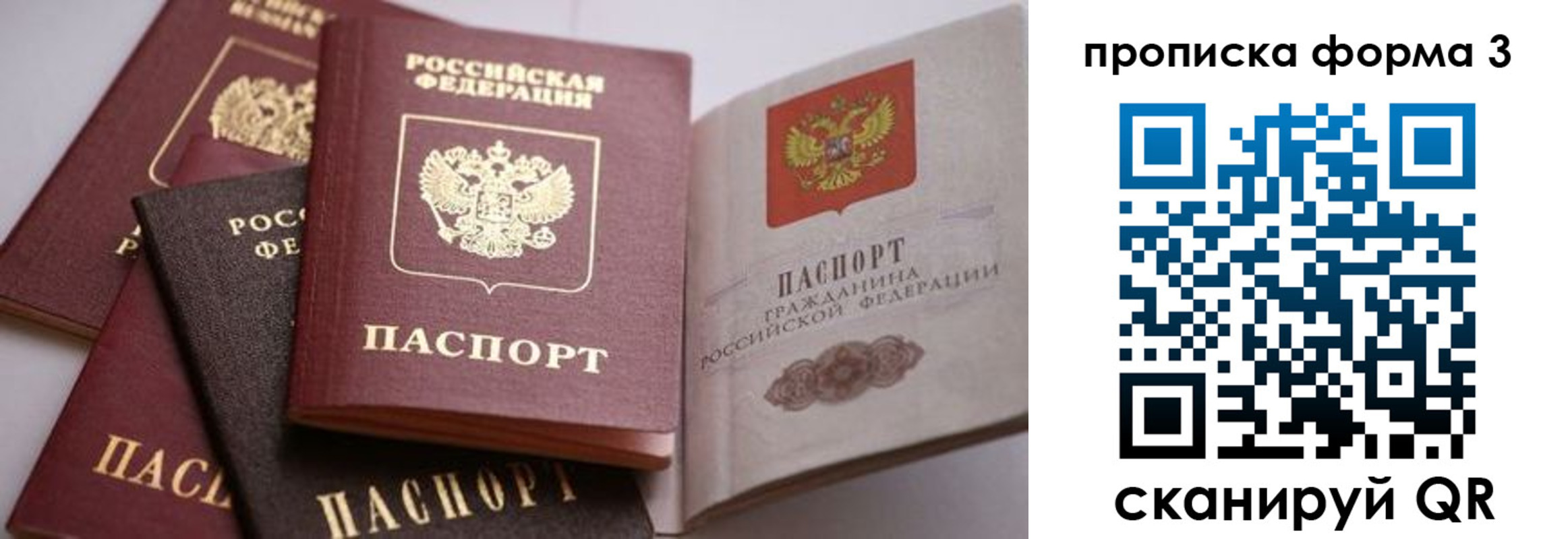 прописка для школы в Новопавловске